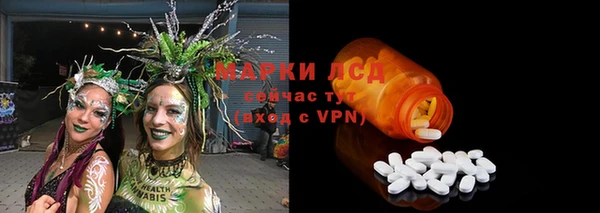 Альфа ПВП Новозыбков