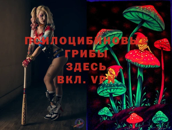 a pvp Новокубанск